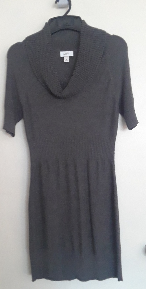 Ann Taylor Sweater Dress